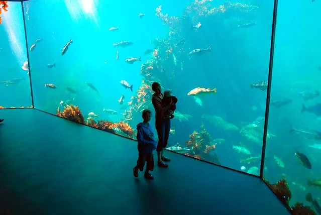 Ålesund Aquarium
