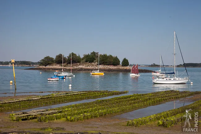 Île aux Moines