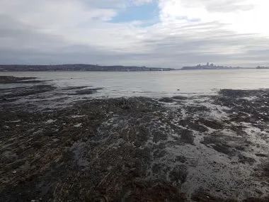 Île d'Orléans