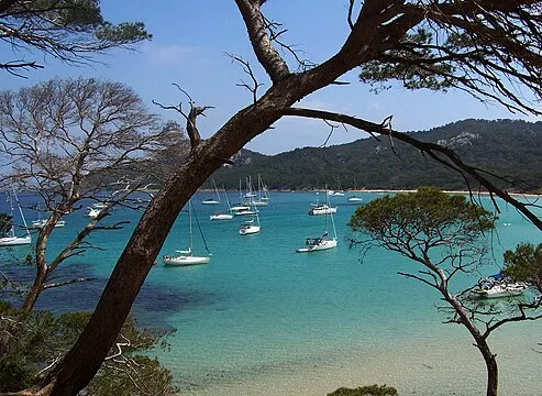 Île de Porquerolles