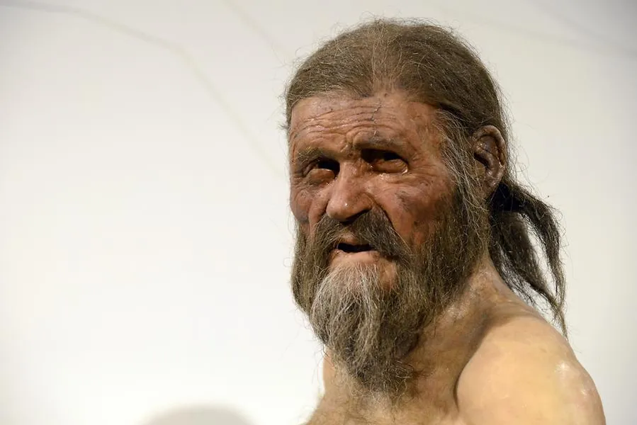 Ötzi the Iceman at the South Tyrol Museum of Archaeology