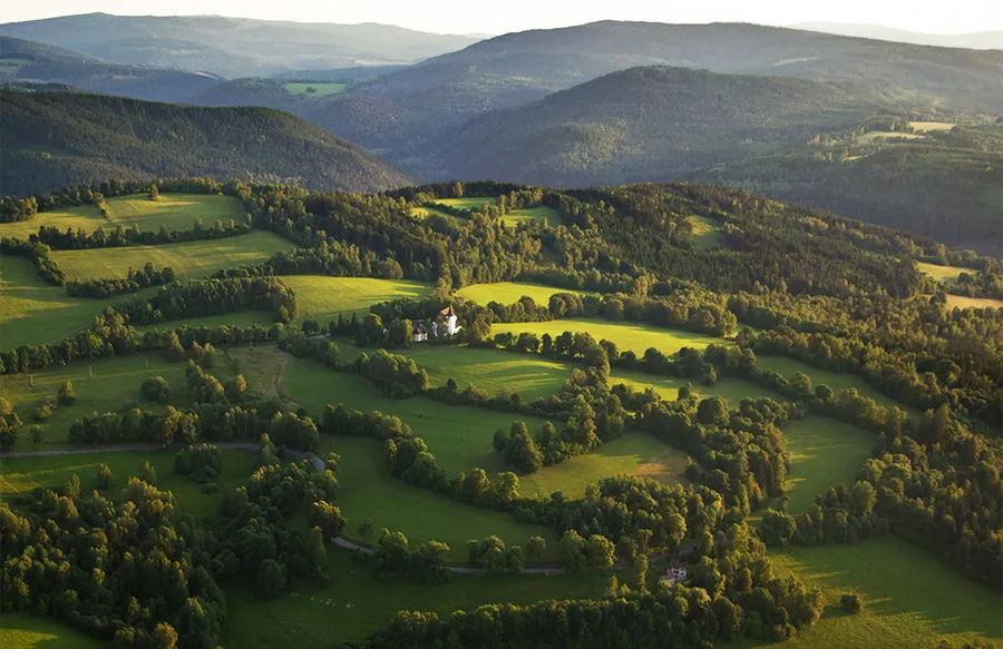 Řáholec Forest
