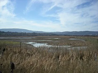 Škocjanski Zatok Nature Reserve