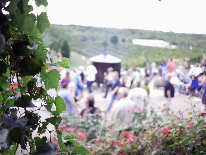 Župska Berba (Wine Festival)