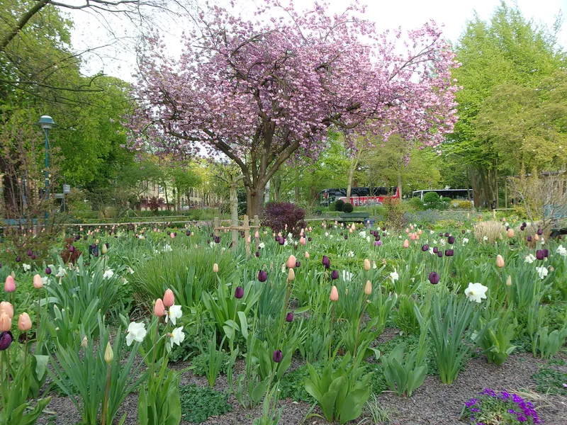  Bürgergarten Hameln