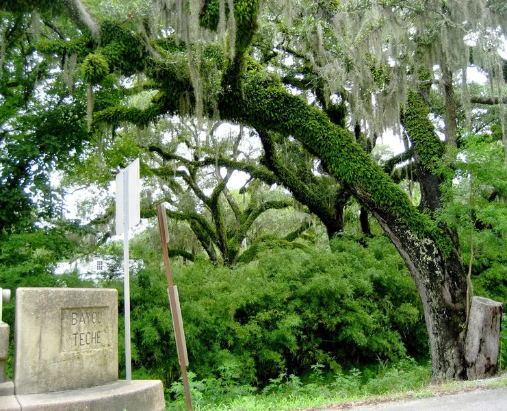  Bayou Teche Museum