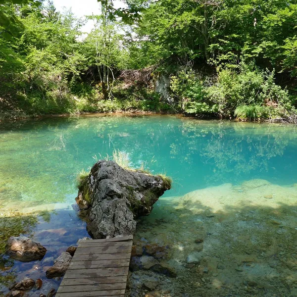 Oko Skakavice