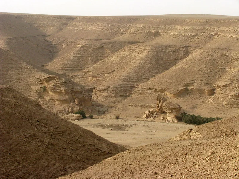  Wadi Hanifah