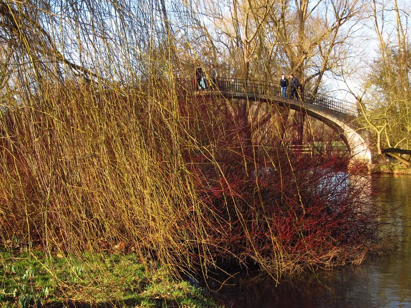  punting on the River Cherwell
