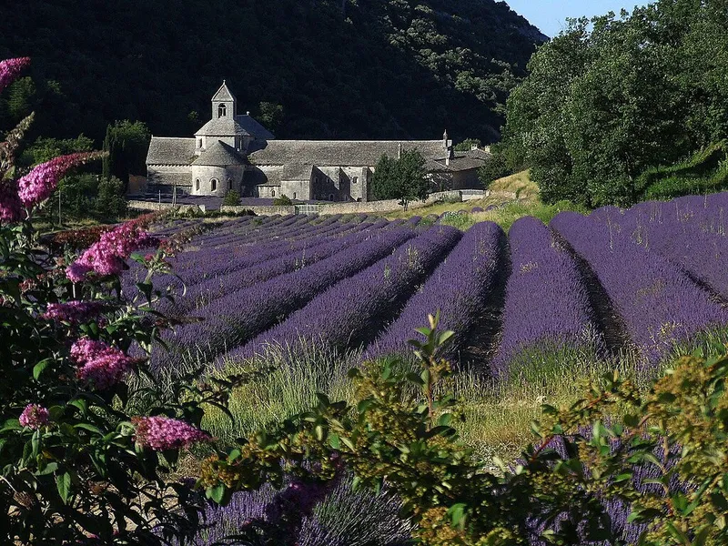 Abbaye Notre-Dame de Sénanque