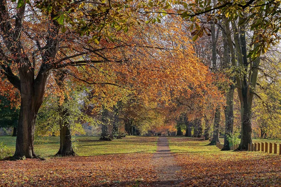 Abington Park