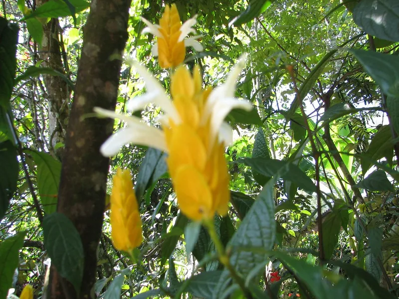 Abraham's Spice Garden