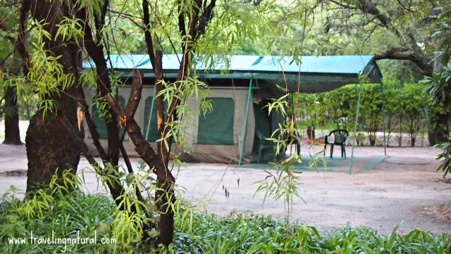 Abu Camp