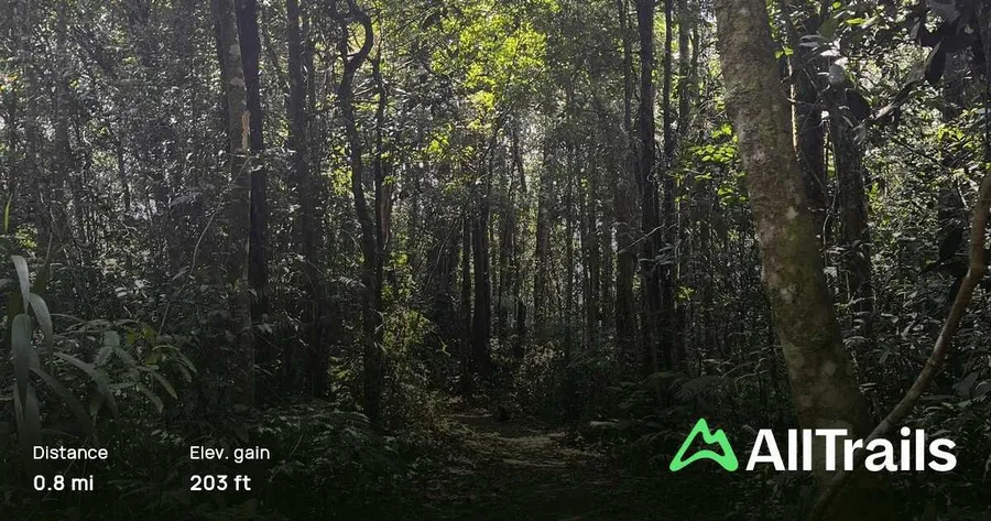 Abu Suradi Trail
