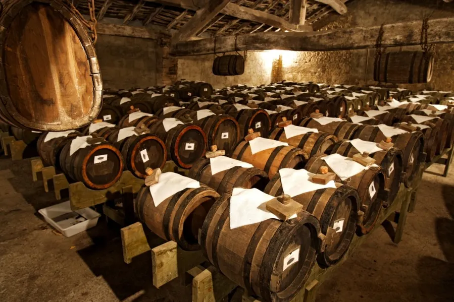 Acetaia di Giorgio