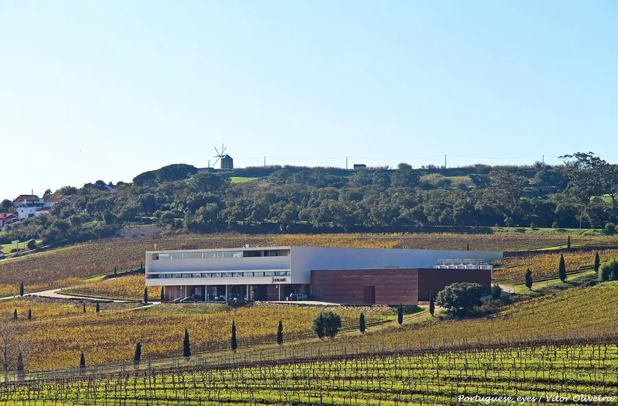 Adega Cooperativa de Torres Vedras