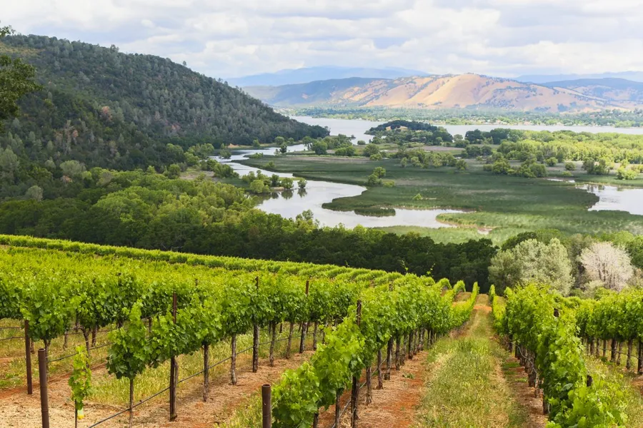 Adirondack Winery