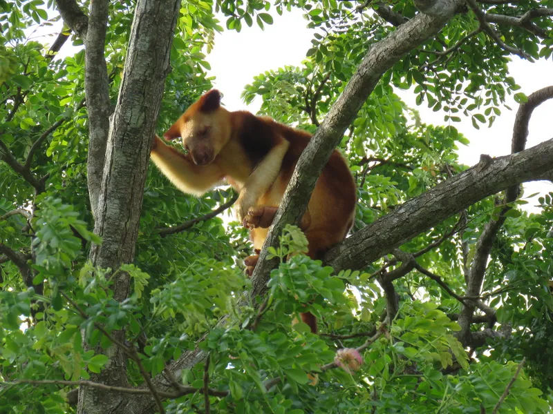 Adventure Park PNG