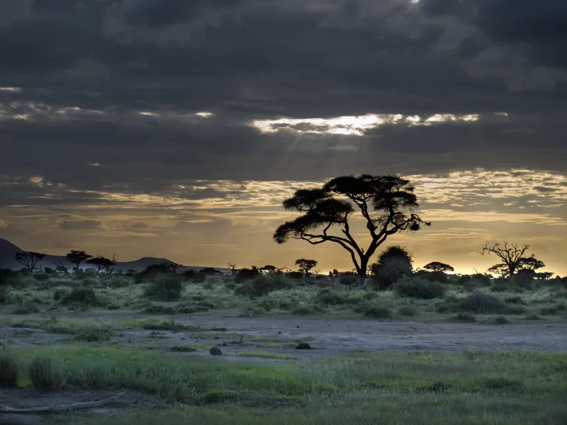 African Dawn Bird and Wildlife Sanctuary