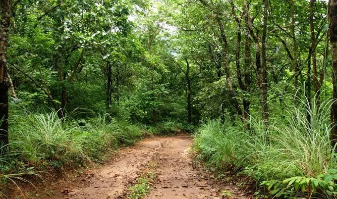 Agasthyamala Biosphere Reserve