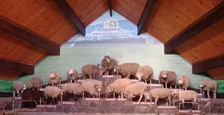 Agrodome