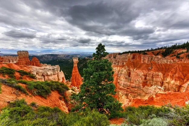 Agua Canyon