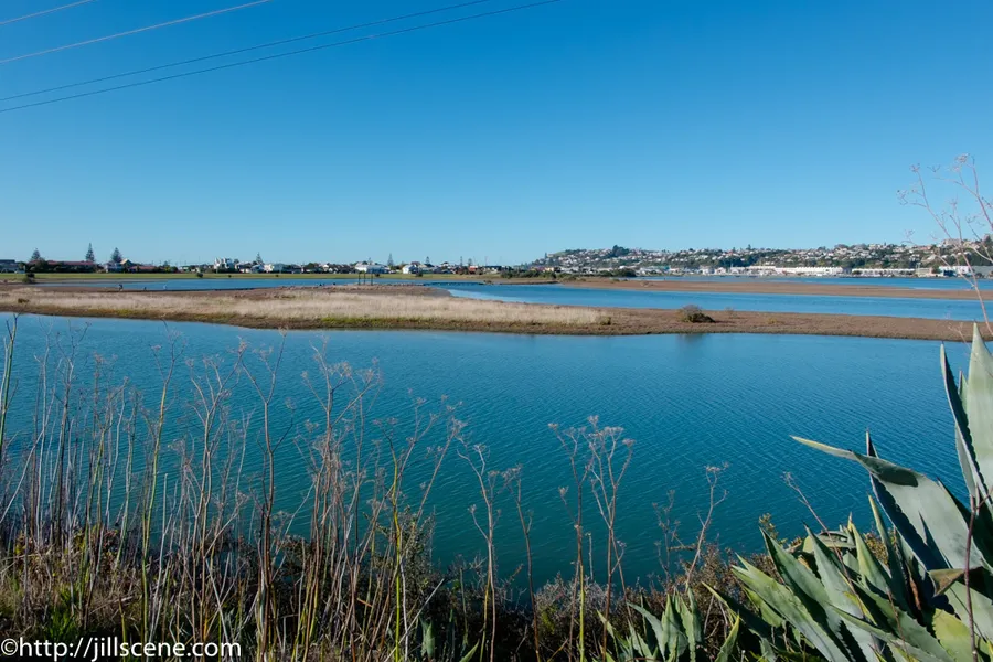 Ahuriri Estuary