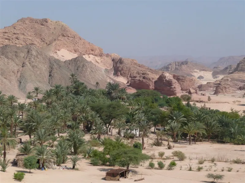 Ain Khudra Oasis