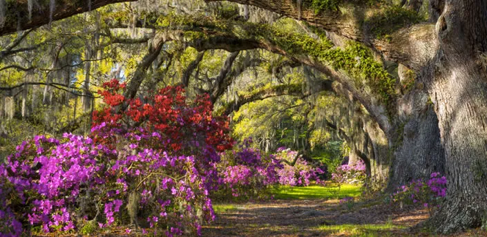Airlie Gardens