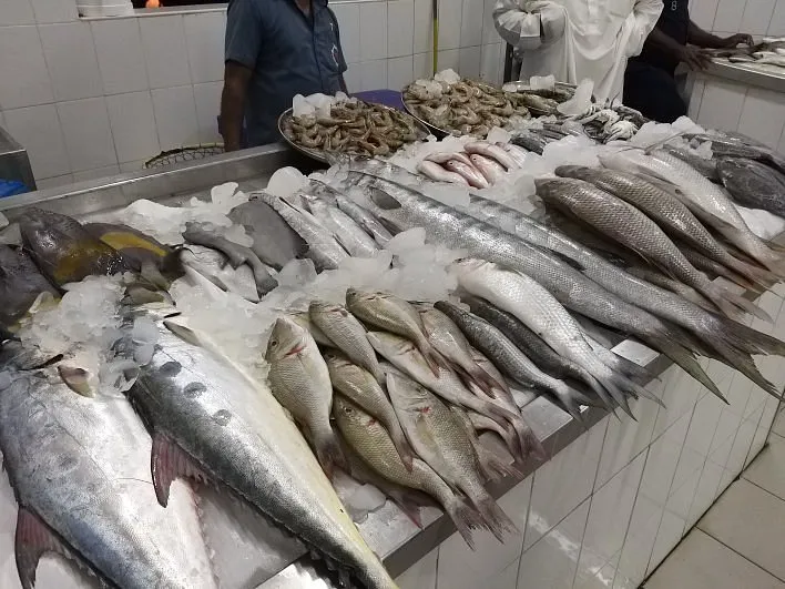 Ajman Fish Market