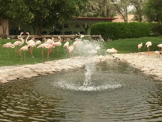 Al Areen Desert Wildlife Park