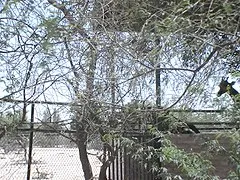 Al Areen Wildlife Park & Reserve