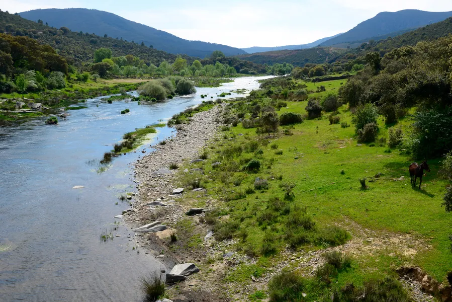 Alagón River