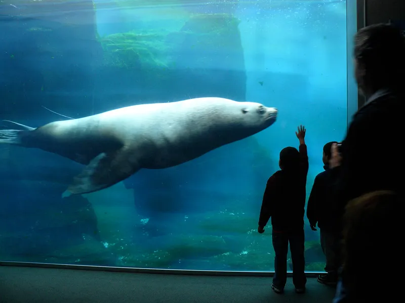Alaska SeaLife Center