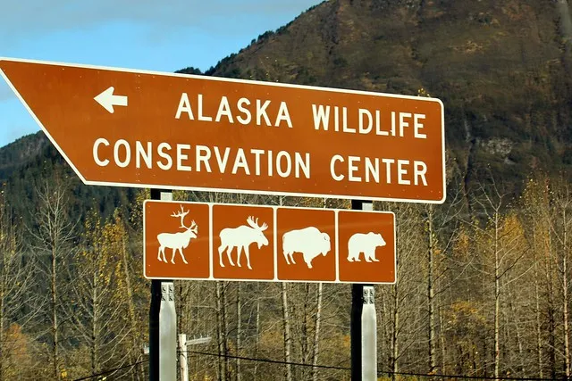 Alaska Wildlife Conservation Center