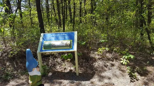 Albany Pine Bush Preserve