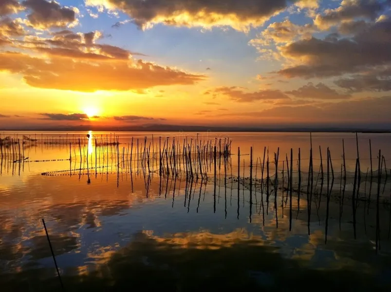Albufera Natural Park