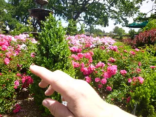 Alden Lane Nursery