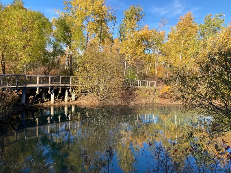 Alewife Brook Reservation