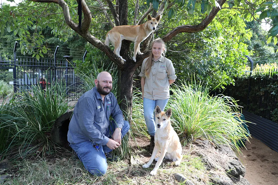 Alexandra Park Zoo