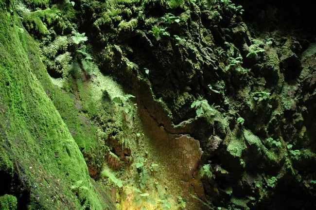Algar do Carvão