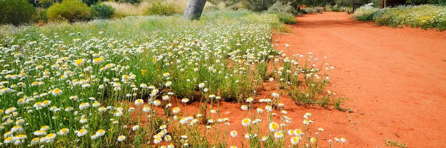 Alice Springs Desert Park