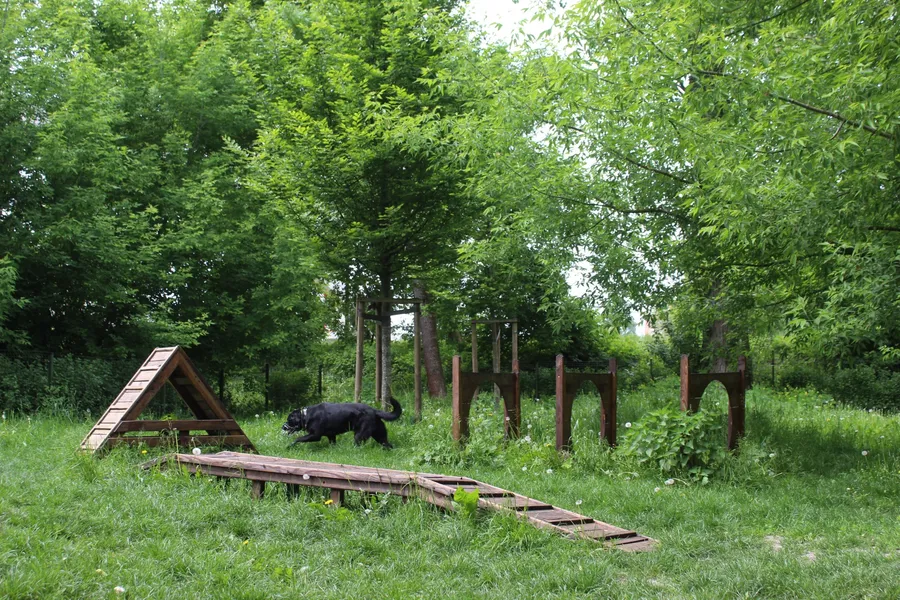 Alimagnet Dog Park