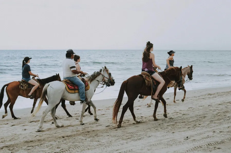 All the Pretty Horses of Baja