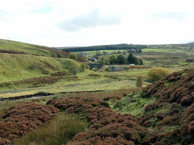Allendale East Forest