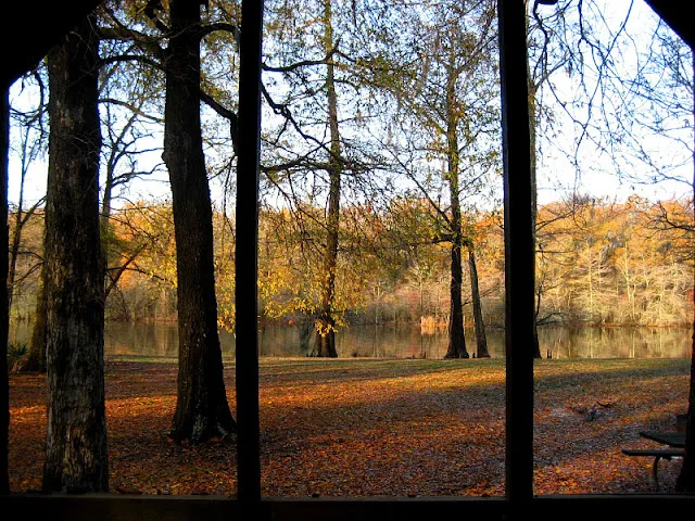 Alligator Lake Park