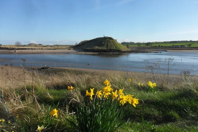 Alnmouth Estuary
