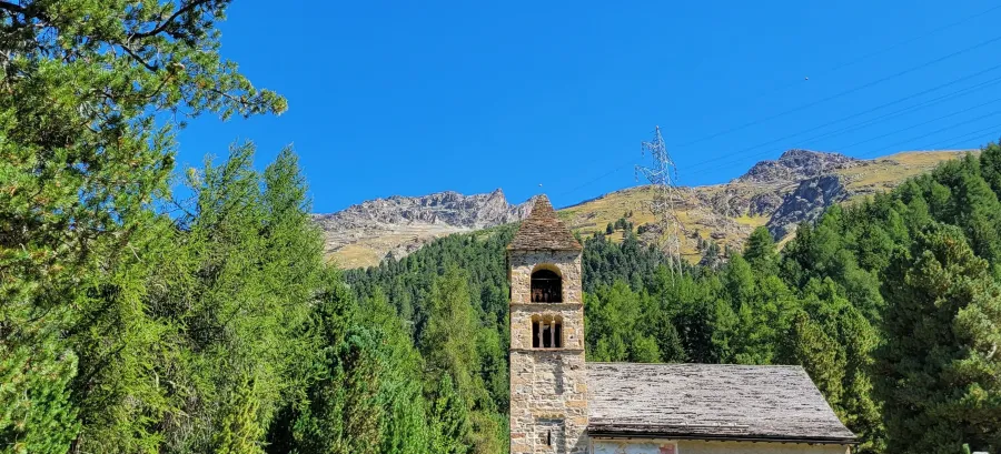 Alp Languard