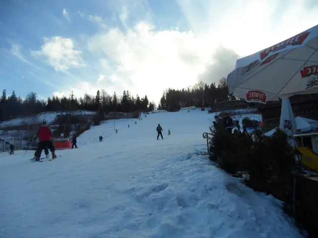 Alpine Coaster