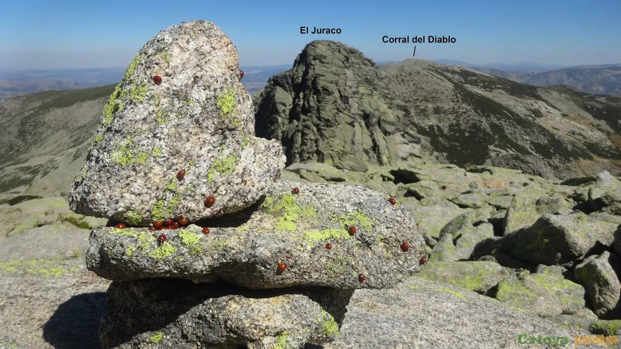 Alto del Trigo